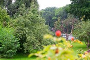 DSC_4441.jpg